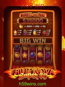 Explorando o Fascinante Mundo de FruitNovaSuper40: Um Guia Completo